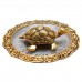 METAL TORTOISE WITH GLASS DISH / PLATE